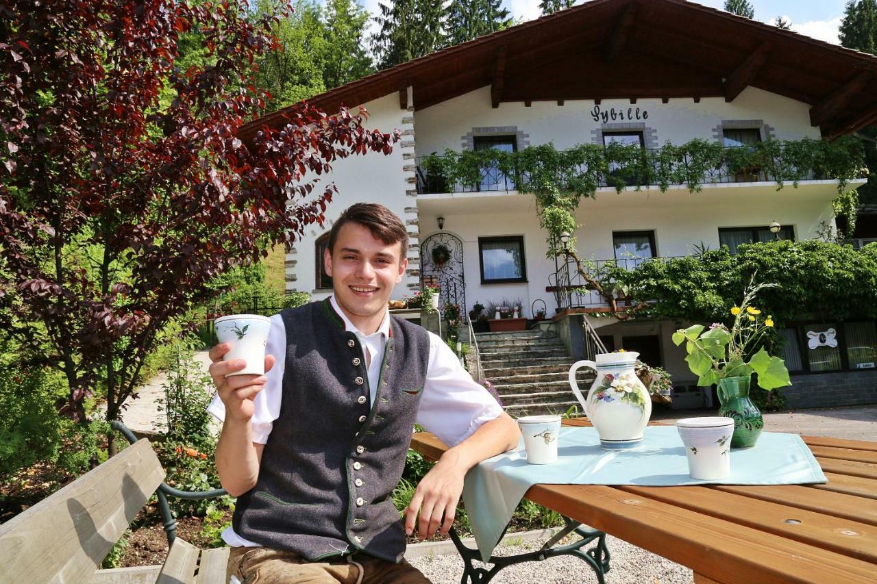 Pension Sybille Ebensee Buitenkant foto